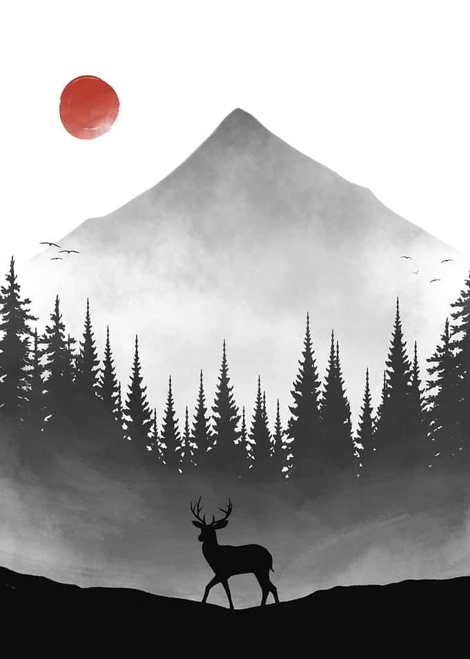 Deer