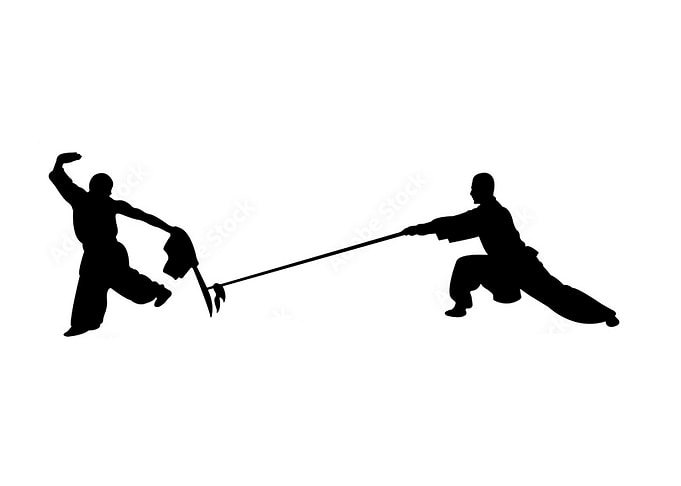 shaolin design