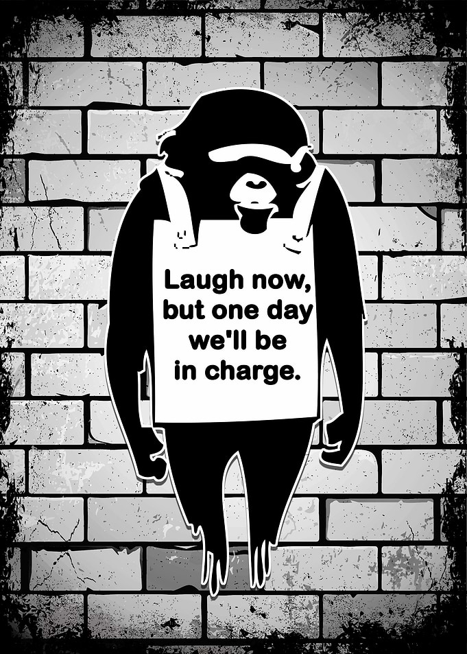 Banksy Monkey Laugh Now
