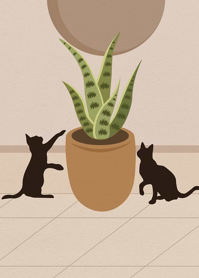 Cat behind the plant pot