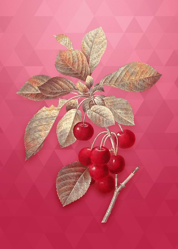 Cherry on Viva Magenta