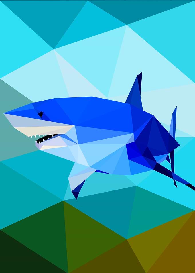 Shark