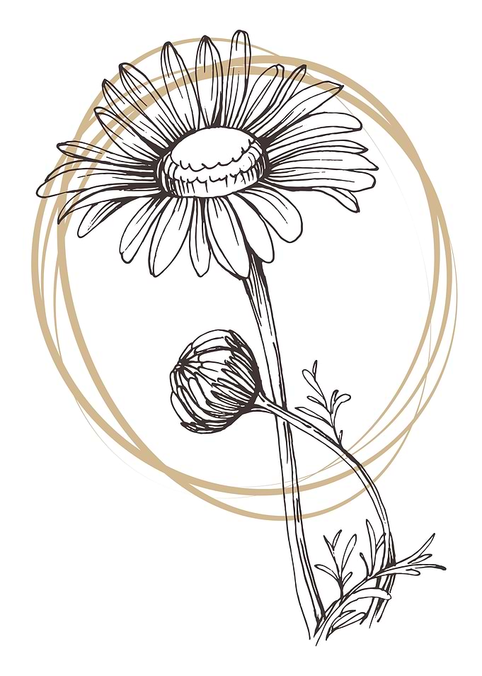 Chamomile and Daisy wheel