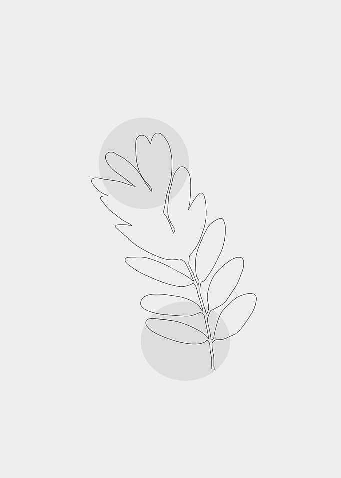 leaf lineart