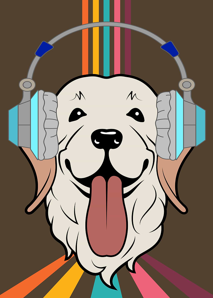 COLLIE DJ HEADPHONES