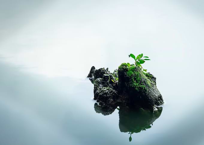 The floating island