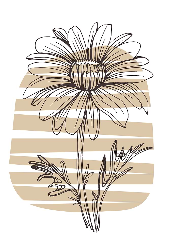 Chamomile and Daisy wheel