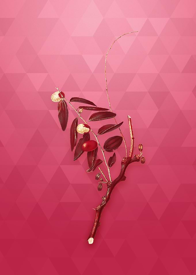 Jujube on Viva Magenta