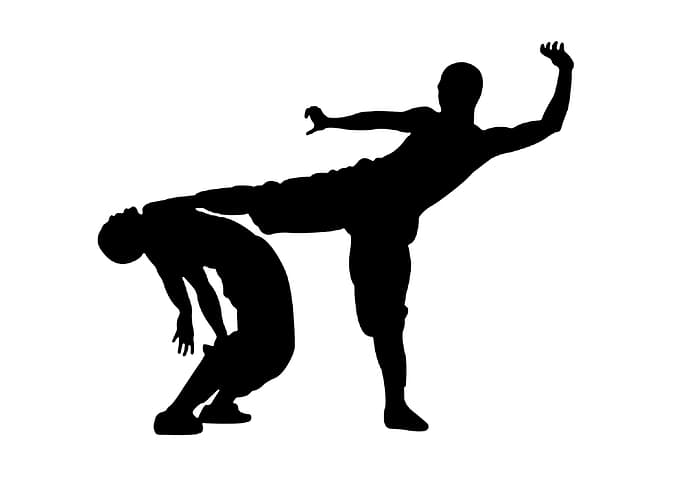 shaolin design