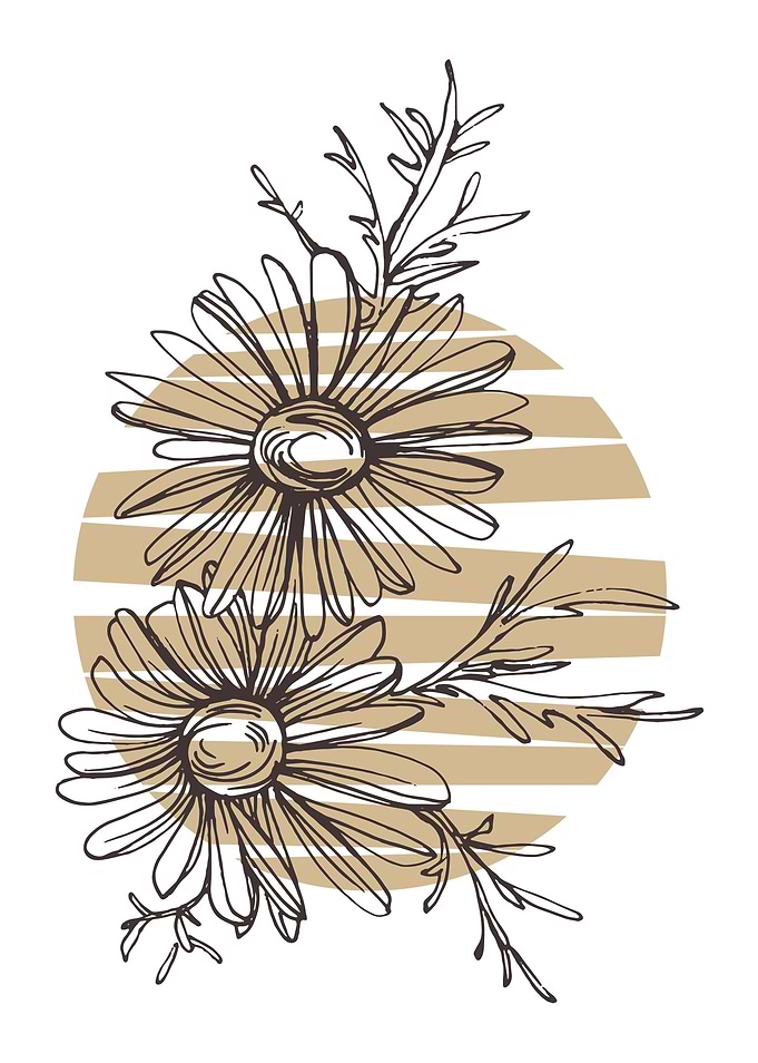 Chamomile and Daisy wheel