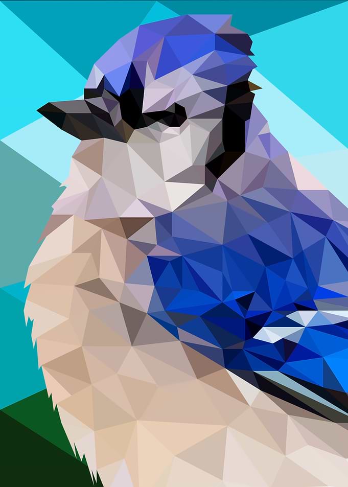 Blue Jay
