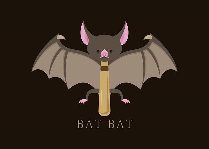 Bat Bat