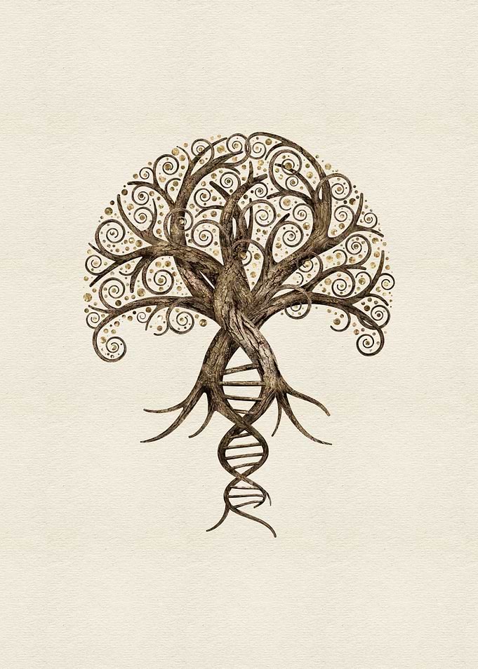 Tree of Life Evolution