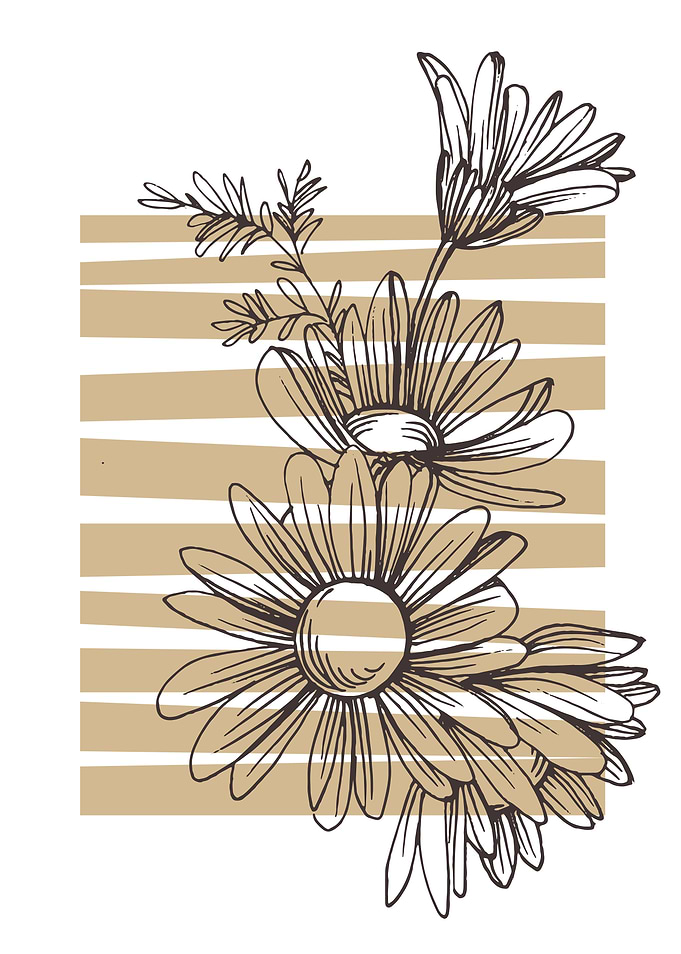 Chamomile and Daisy wheel