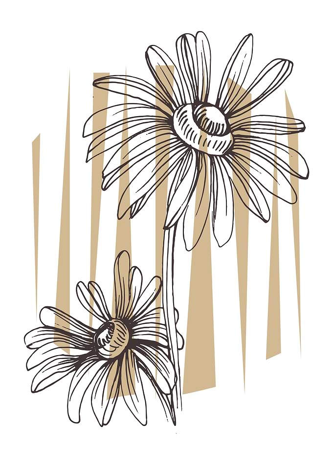 Chamomile and Daisy wheel