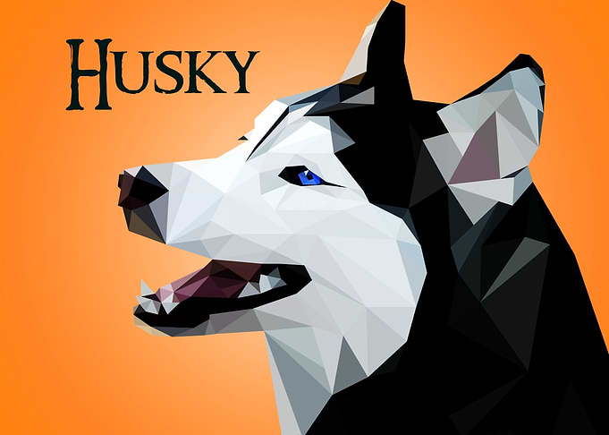 Husky