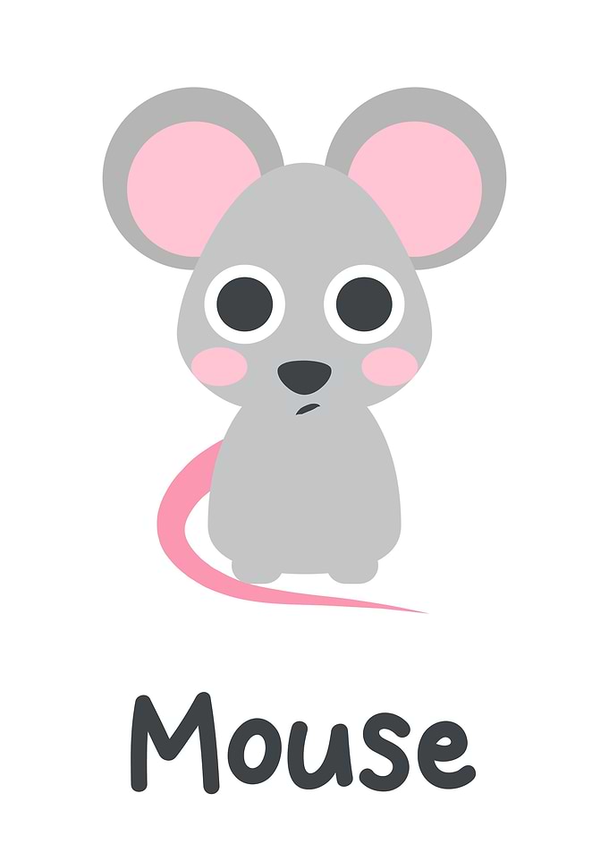 mouse