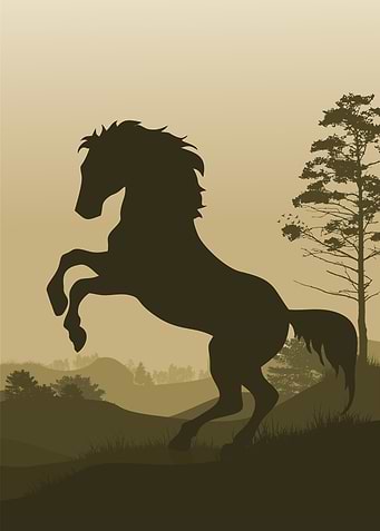 African Horse Silhouette