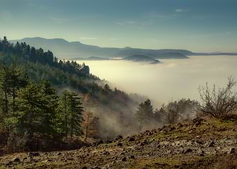 Mountain Fog