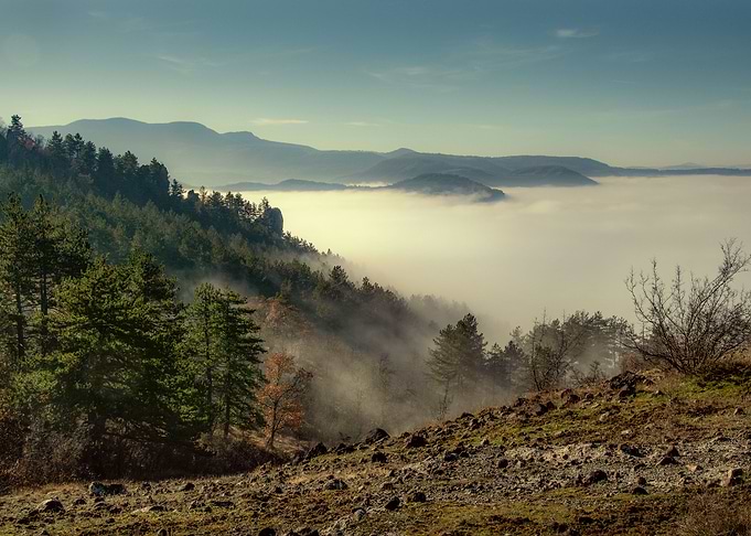 Mountain Fog