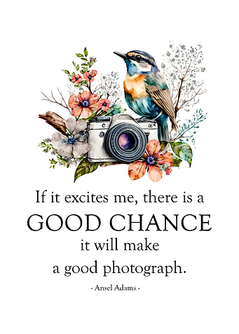 Good Chance