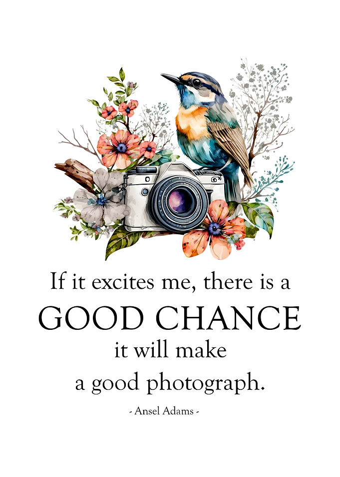 Good Chance