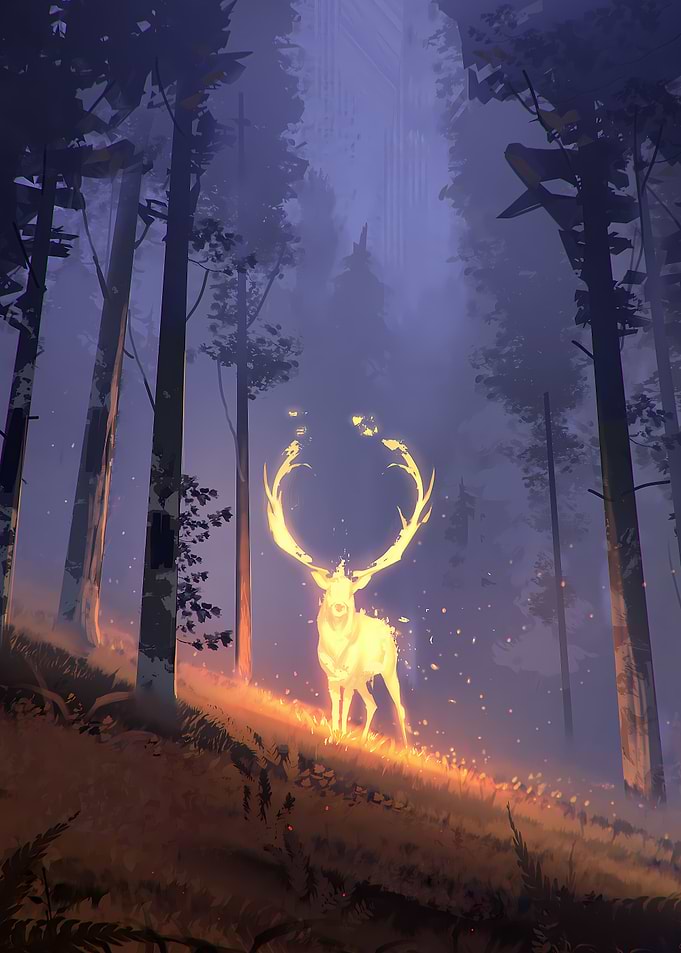 Deer in forest
