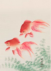 Ohara Koson Goldfish