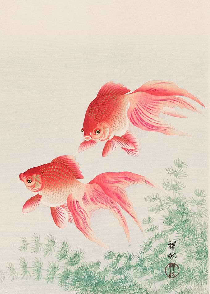 Ohara Koson Goldfish