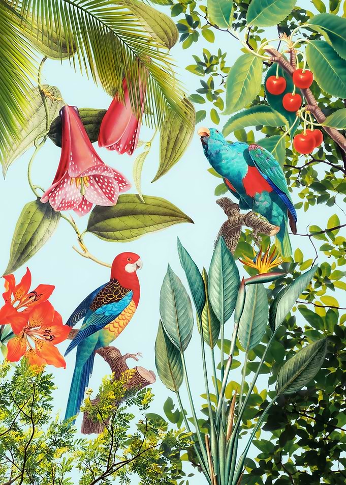 Tropical Birds