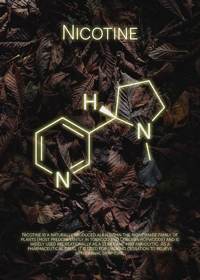 Nicotine Molecule