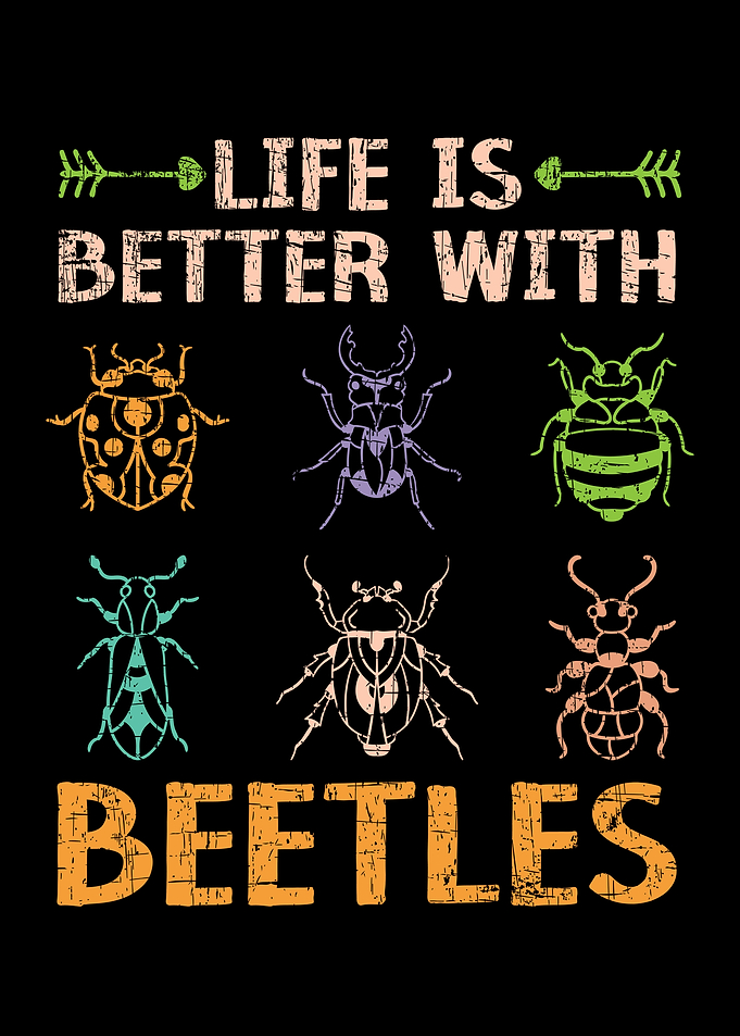 Beetle Lover