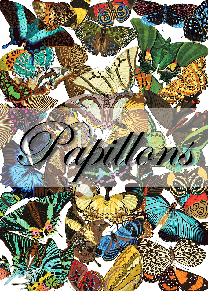 01A Vintage Papillons