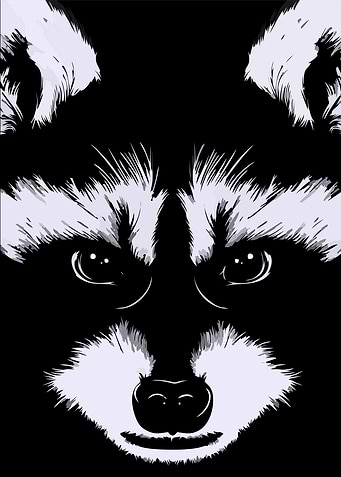 weasel