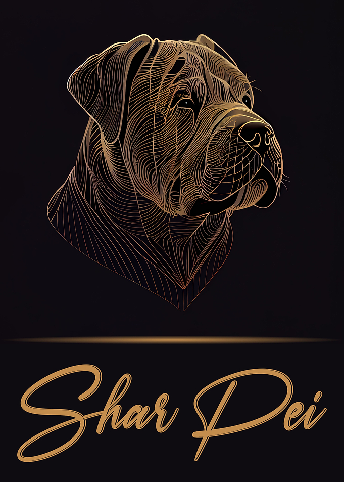 Chinese Shar Pei