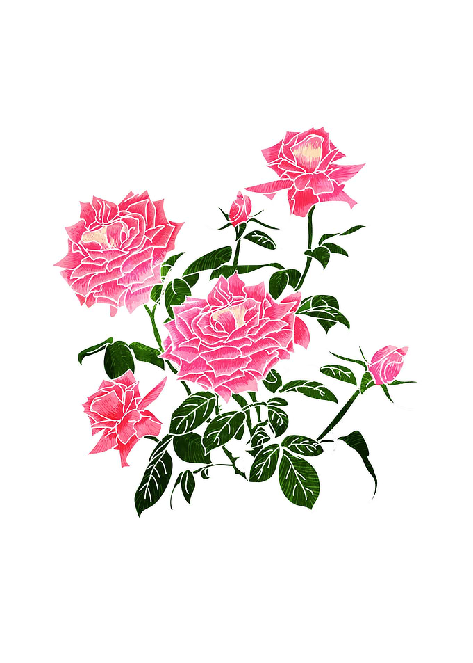 Rose V2