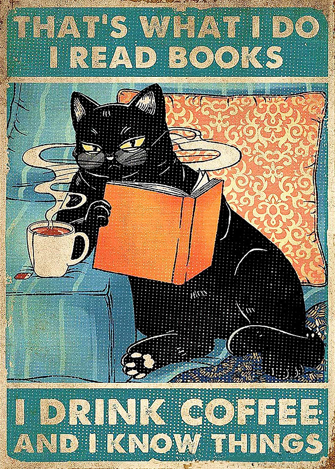 Cat Read Books Poster