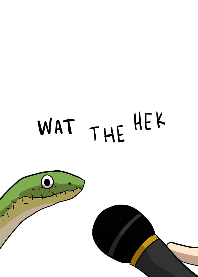 funny snake