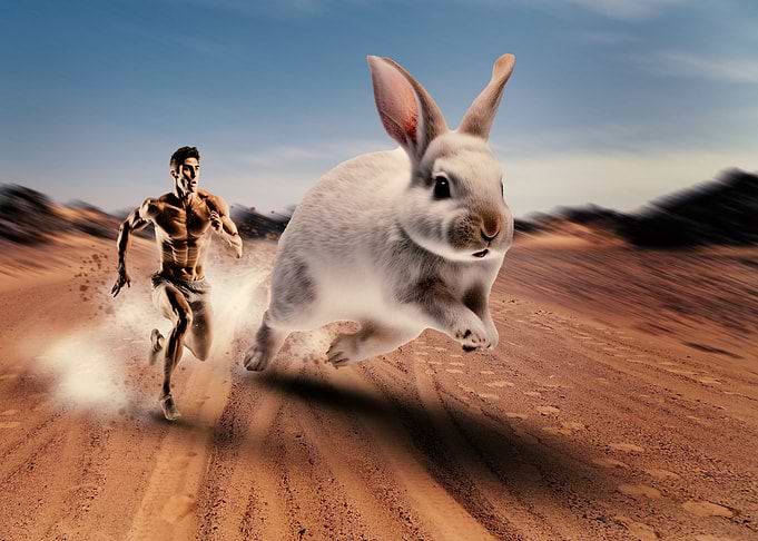 the desert ride