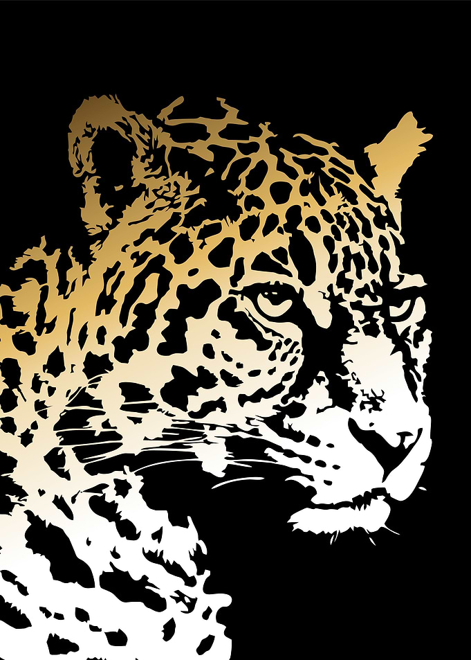 leopard