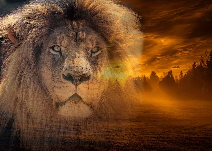 Lion and Fantasy Landscape