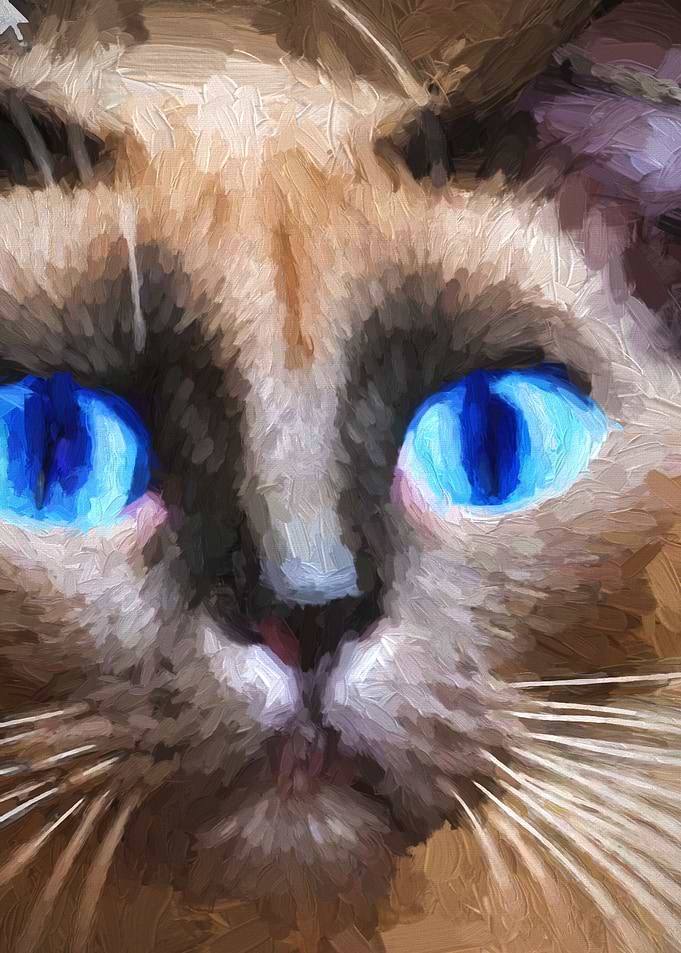 Oil Siamese Cat Portrait