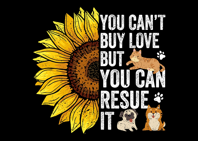 Animal Rescue Sunflower