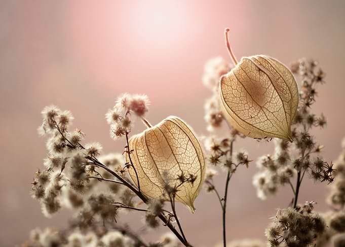 Autumn impression