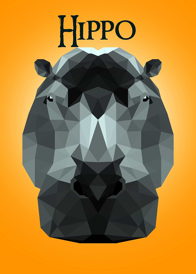 Hippo