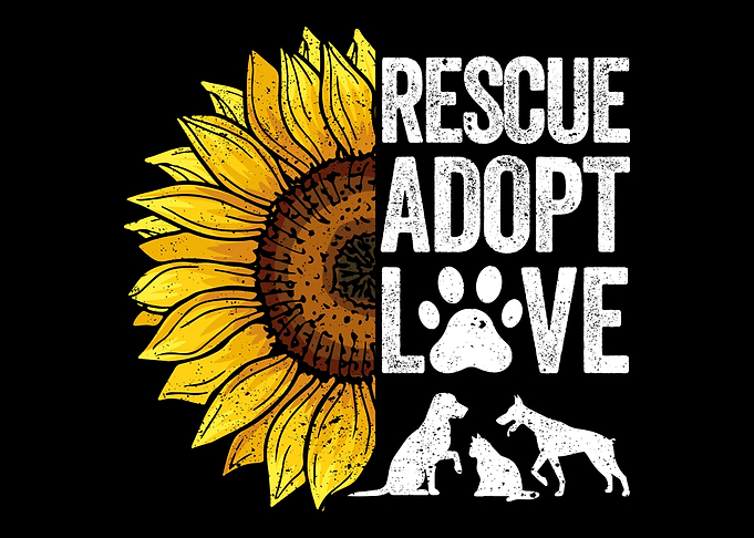 Animal Rescue Sunflower