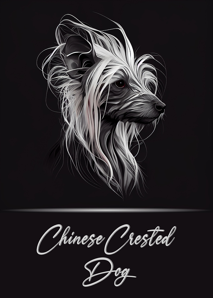 Chinese Crested Dog