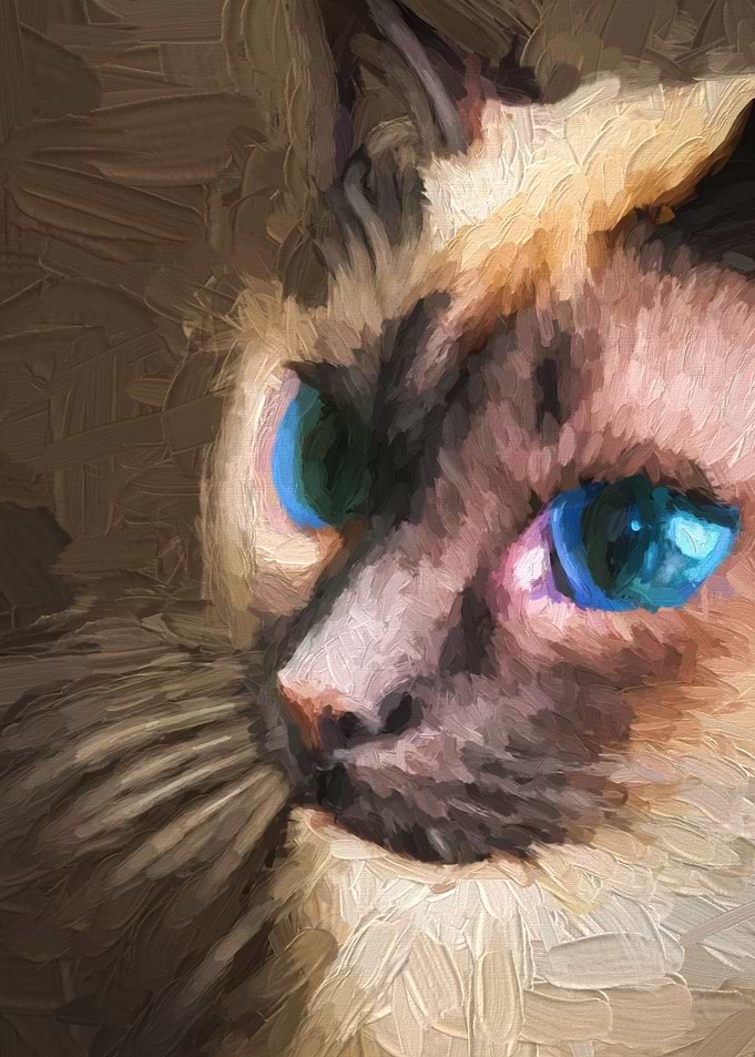 Oil Siamese Cat Portrait