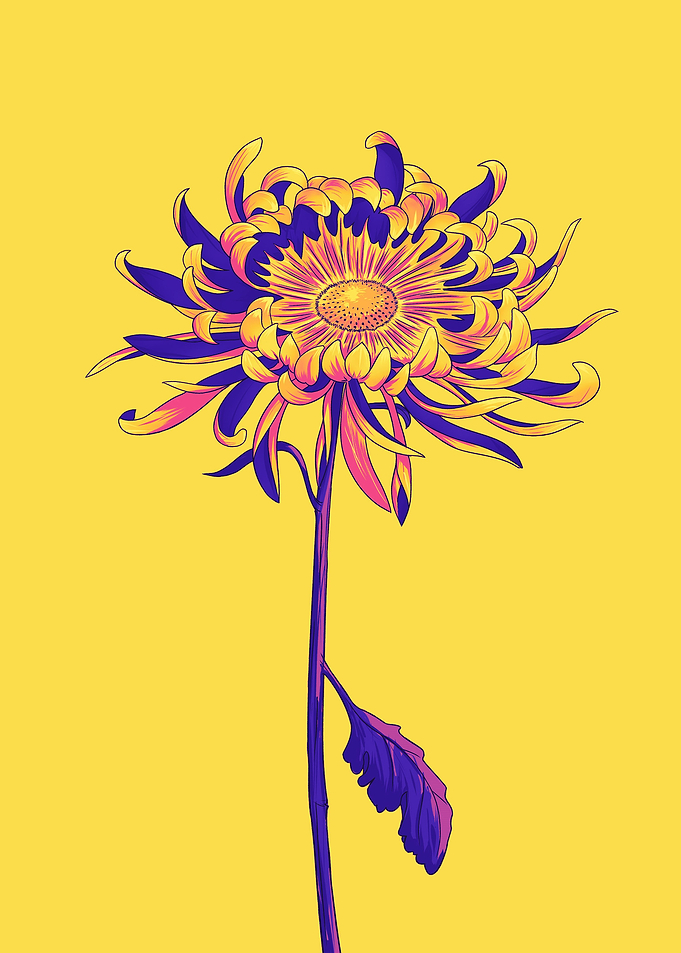 Flower Retro Popart