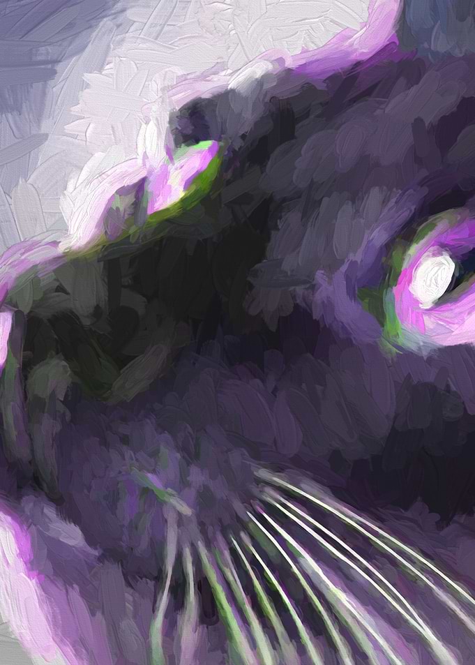 Oil Cat Portrait